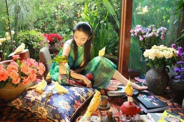 一组杨丽萍私宅内景照片,分为太阳宫和月亮宫