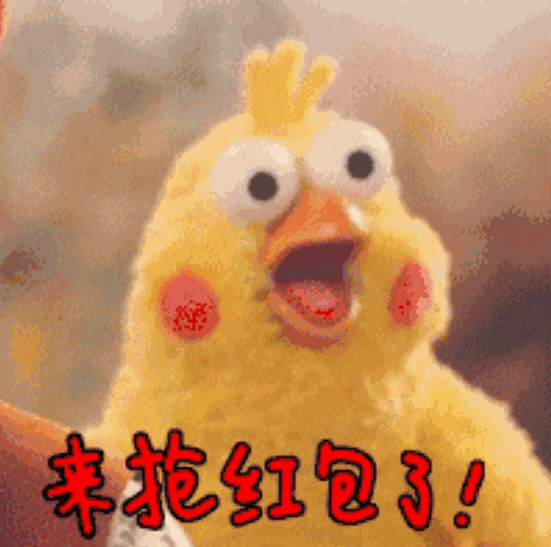 新晋网红鹦鹉兄弟!今年春节最火的表情包就是他们啦!