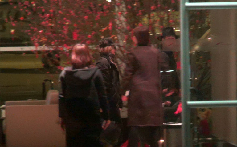 麦当娜乘私人飞机抵港 向华强一家现身