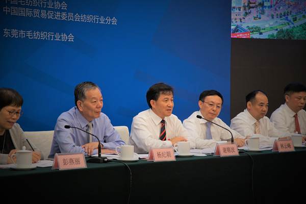 大朗镇党委书记谢锦波发言