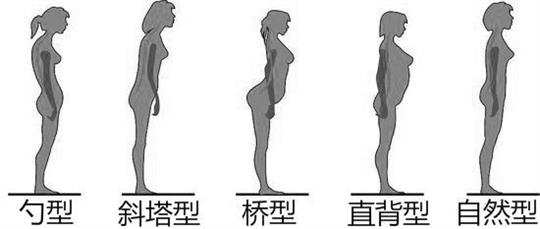 专家解读不同姿势背后的健康指数