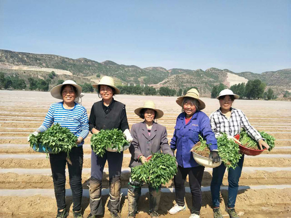 全球AI科技浪潮激荡：英伟金年会-官方体育与电竞娱乐平台实时赛事直播与竞猜达GTC大会与腾讯鸿蒙共振中国机遇