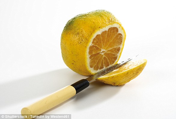 西柚 橙子 橘子=ugli fruit ugli fruit 要叫这个名字(ugli=ugly,丑的