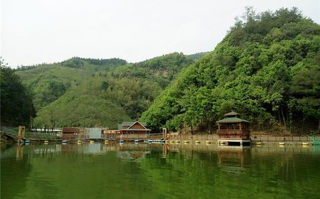 浙江 杭州市桐庐县分水镇