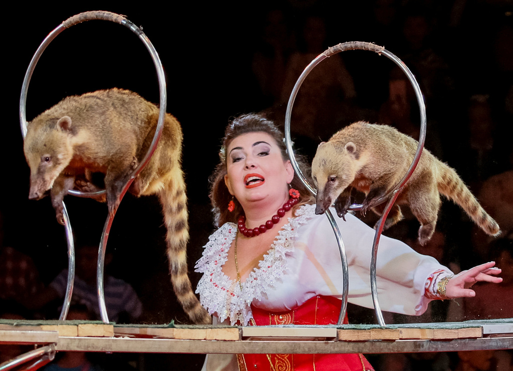 乌克兰国家马戏团举行表演 演员将头放鳄鱼口