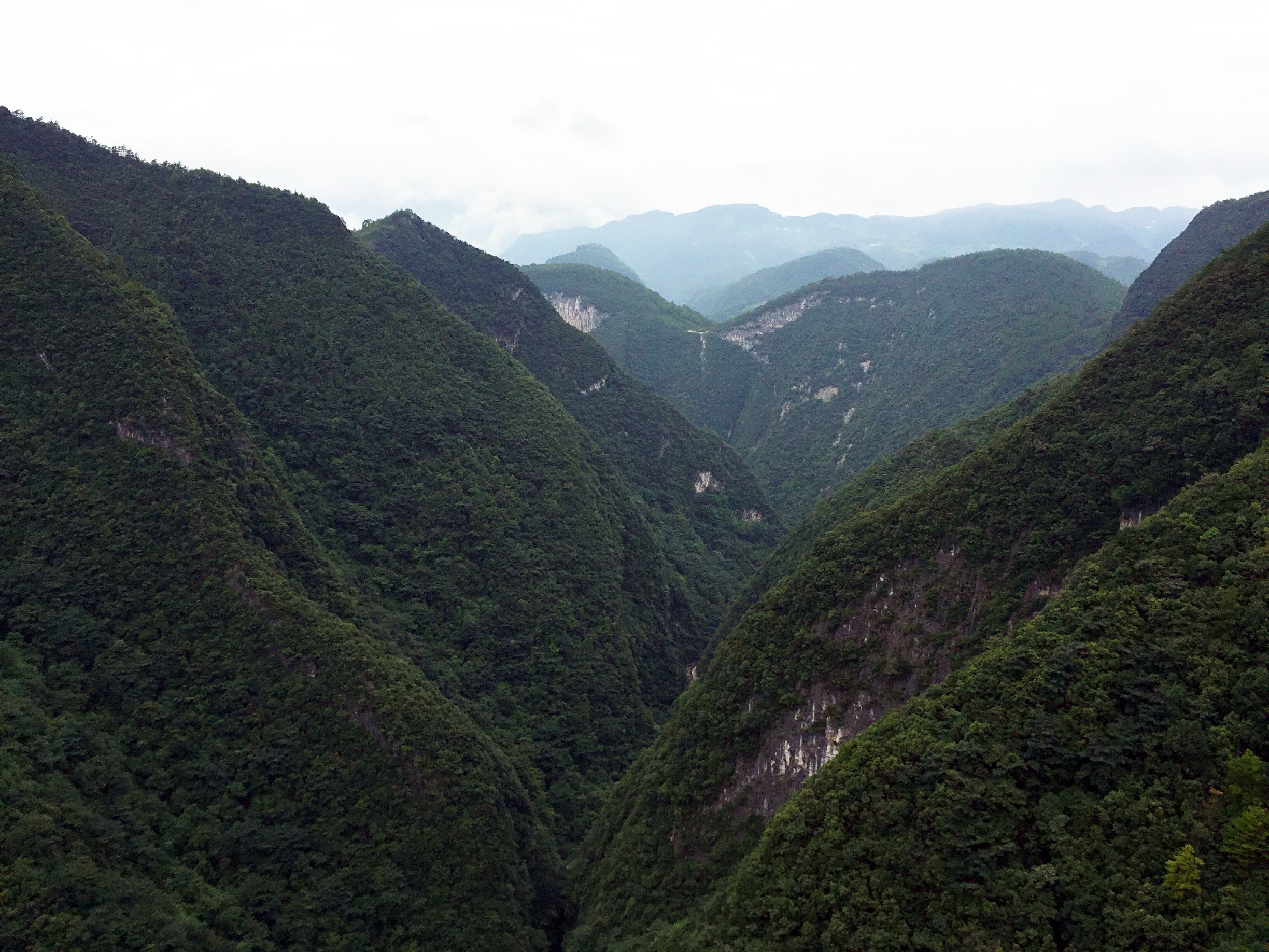 重庆涪陵武陵山大裂谷:心随境开的森林氧吧