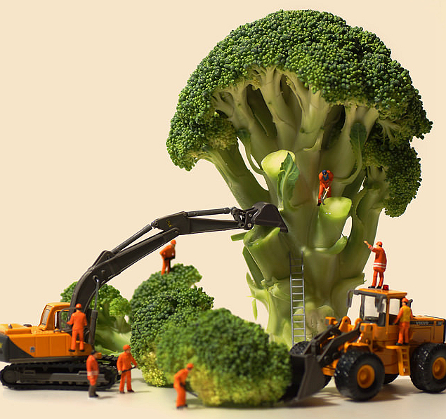 这个创意有点意思:来自日本的微型日历网站